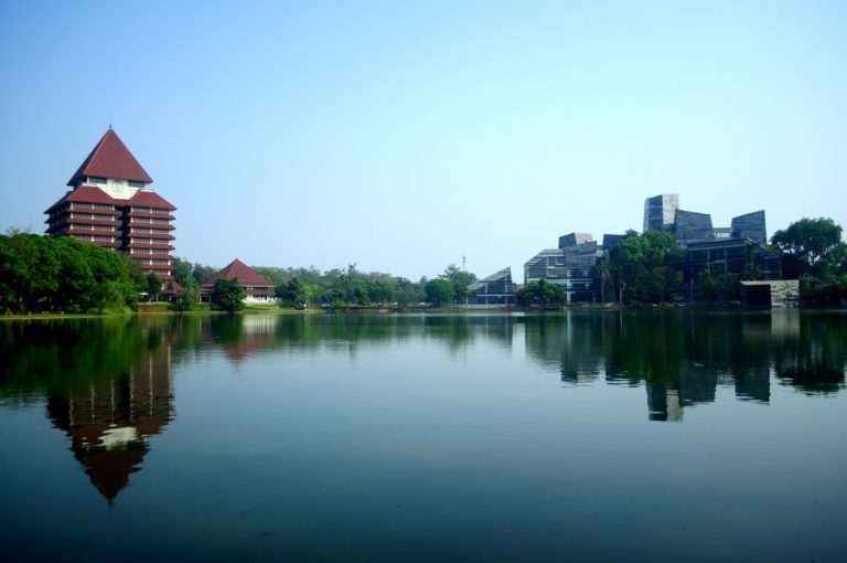 International university